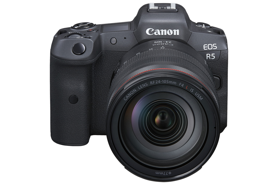 Mirrorless vs DSLR Cameras: Pros, Cons, and Tips | Canon Canada