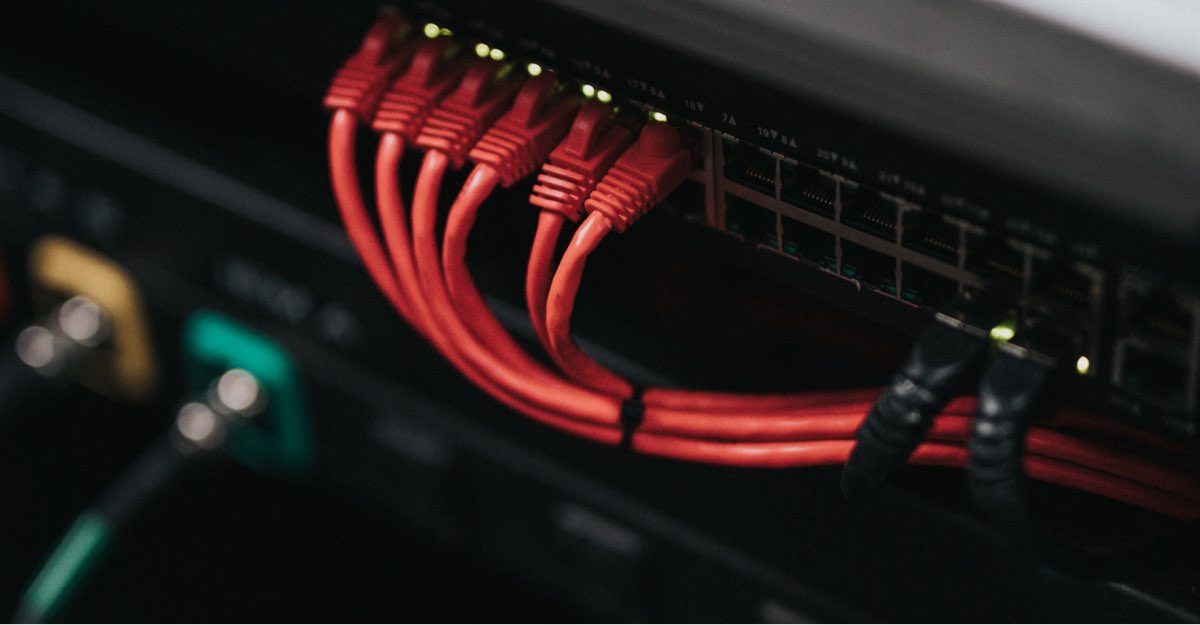 Network cables plugged into a server unit