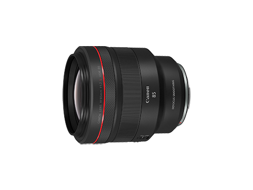 RF85mm F1.2 L USM DS