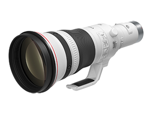 RF800mm F5.6 L IS USM