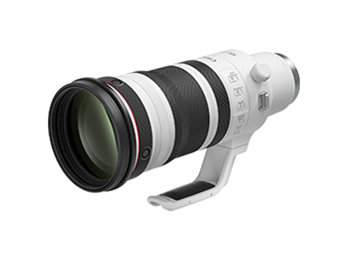 RF 100-300mm F2,8 L IS USM