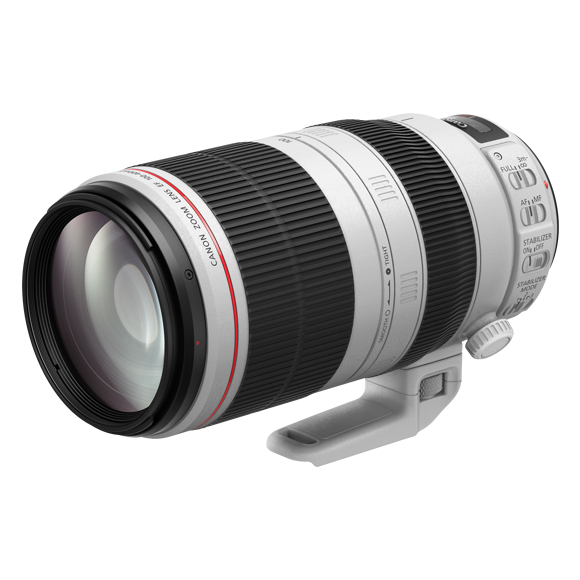 Canon EF 100-400mm f/4.5-5.6L IS II USM | Téléobjectif zoom