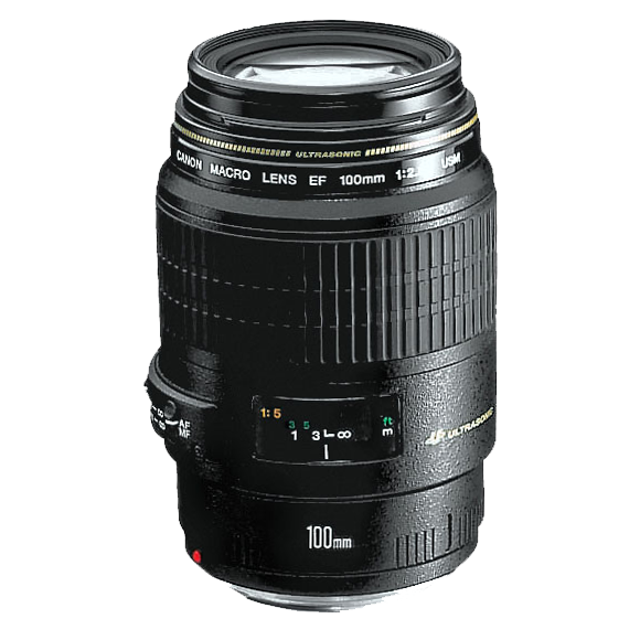 最適な価格 Canon マクロ F2.8 100mm EF レンズ(単焦点) - blogs