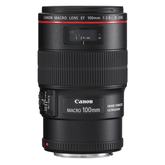 ☆ キャノン Canon EF 100mm F2.8 MACRO USM-