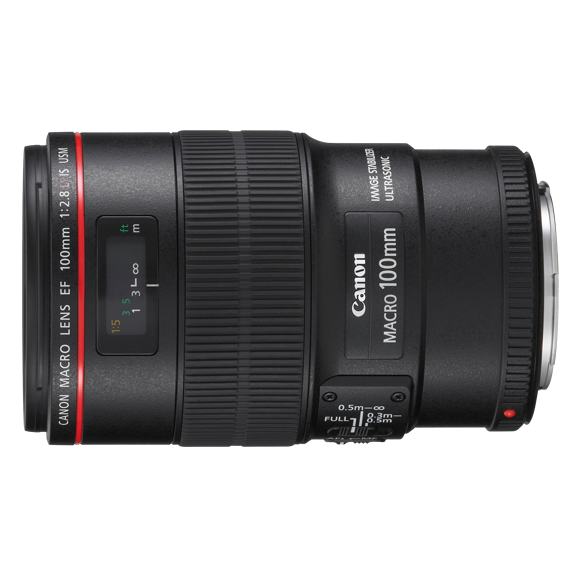 Canon EF 100mm f/2.8L Macro IS USM | Macro Lens