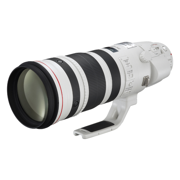 Canon EF 200-400mm f/4L IS USM Extender 1.4X | Super Telephoto Lens