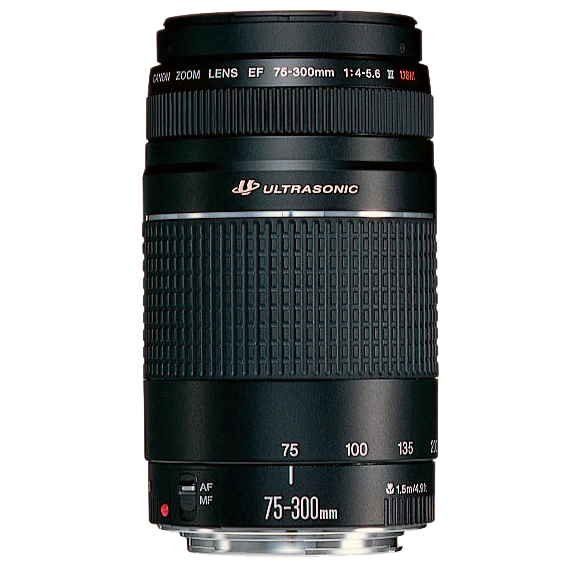 キヤノン　望遠レンズ　　Canon EF75-300㎜（2セット）