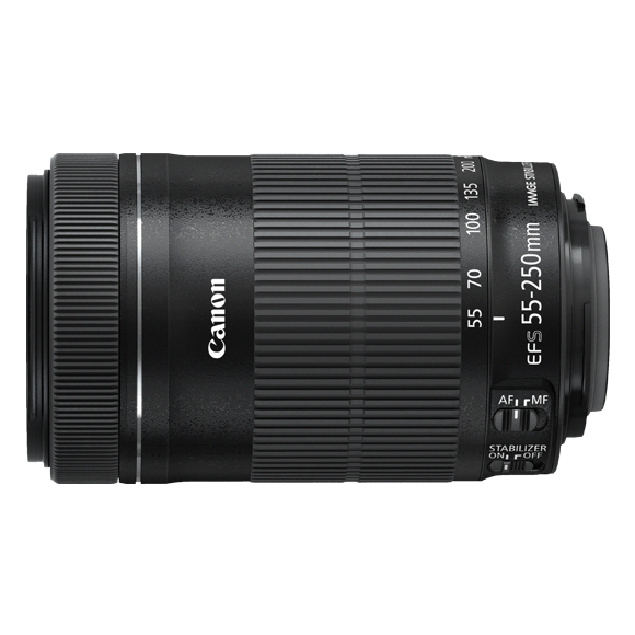 カビ有 Canon EF-S 55-250mm f4-5.6 IS STM