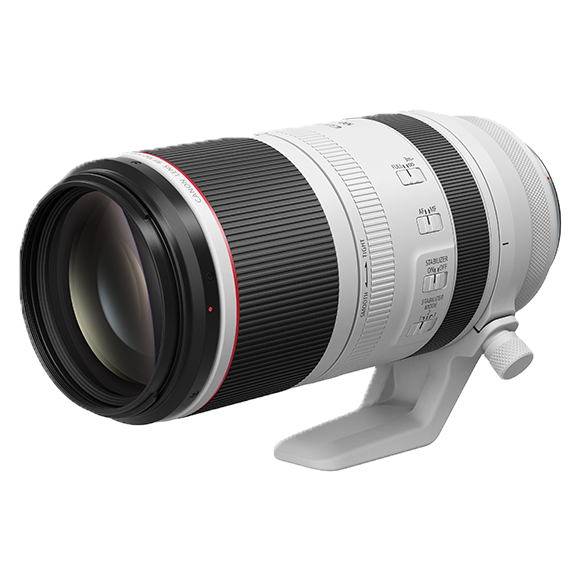 RF100-500mm F4.5-7.1 L IS USM | RF Lens