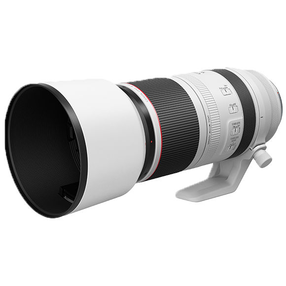 RF100-500mm F4.5-7.1 L IS USM | RF Lens